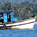 Indian Fishermans