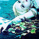 Death Of A Flower